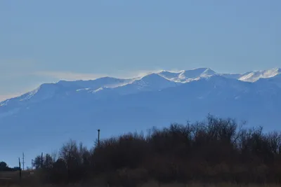 DSC_6046 (Large).JPG